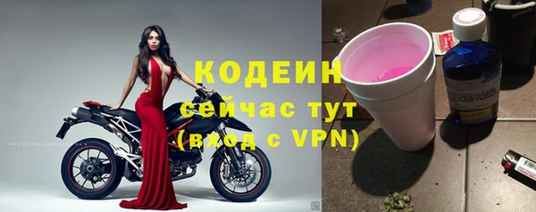 хмурый Армянск
