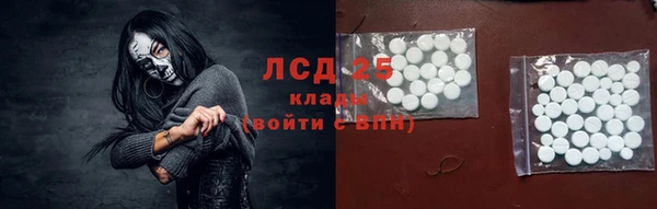 ГАЛЛЮЦИНОГЕННЫЕ ГРИБЫ Аркадак