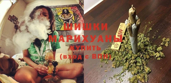 ГАЛЛЮЦИНОГЕННЫЕ ГРИБЫ Аркадак