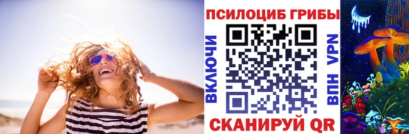 Псилоцибиновые грибы Psilocybine cubensis  Сорочинск 
